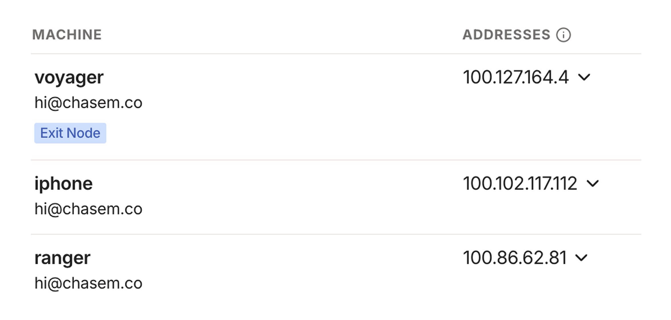 The Tailscale dashboard lists your machines and the addresses associated with each one. It's safe for me to share these because they're only accessible on my private Tailnet, which my devices access via the Tailscale client.